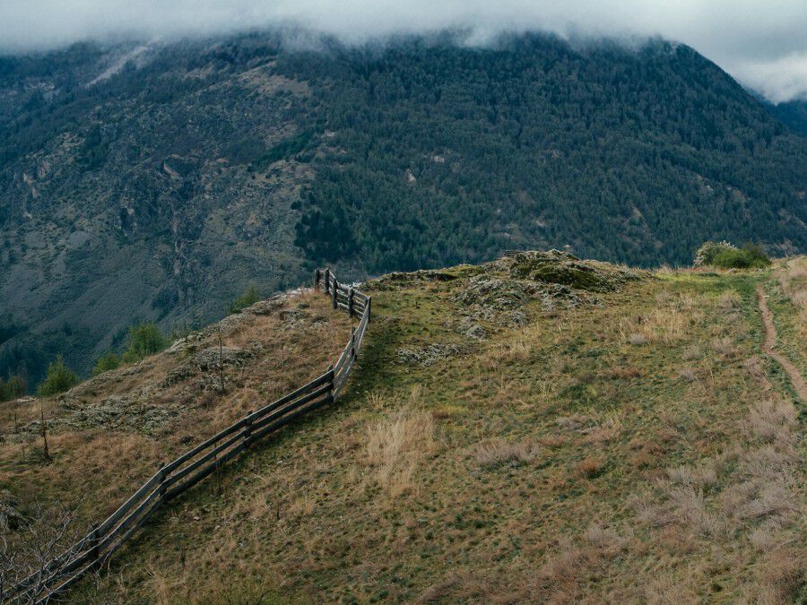 Dzieci Środki do pielęgnacji