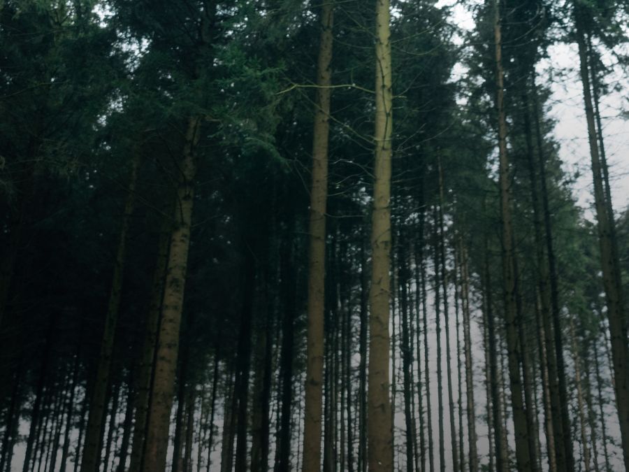 Dla mężczyzn Polary