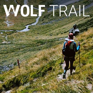 Zdjęcie kategorii dla Wolf Trail