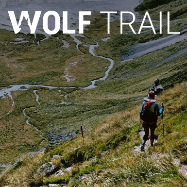 Zdjęcie kategorii dla Wolf Trail