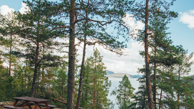 Kobieta w letnim outdoorowym ubraniu balansuje na kamieniach nad morzem