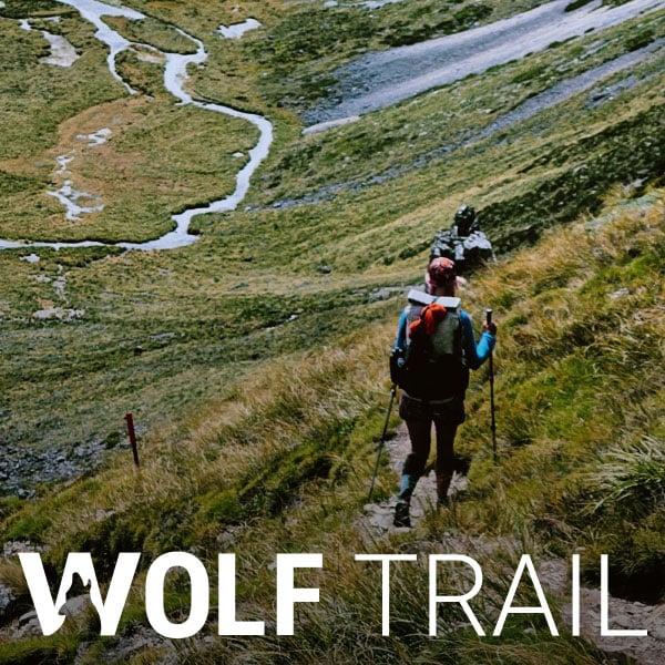 Campaign image for the Wolf Trail